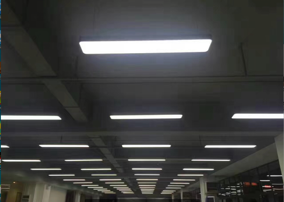 ό֘